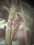 IMG_5057