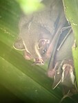 IMG_5056
