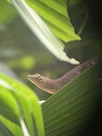 IMG_5053