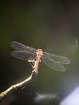 IMG_5044