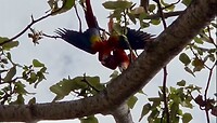 IMG_5035