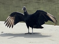 IMG_5025