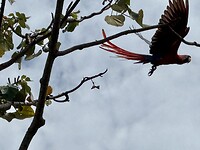 IMG_4963