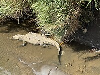 IMG_4952