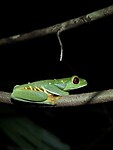 IMG_5195