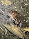 IMG_5193