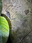 IMG_5183