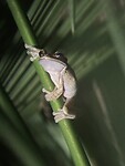IMG_5174