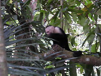 DSCN0467