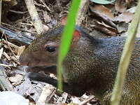 DSCN0446