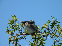 DSCN0549