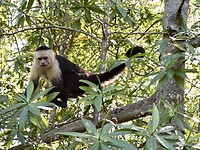 DSCN0529