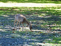 DSCN0508