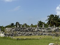 IMG_7993