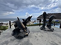 IMG_8011