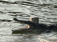 IMG_8210