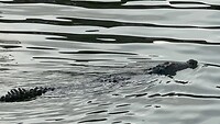 IMG_8160