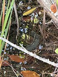 IMG_8044