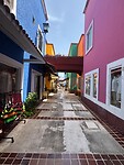 IMG_8053