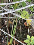 IMG_8049