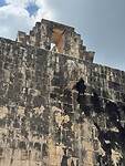 IMG_8557