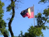 7 aboriginal