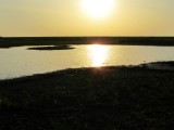 IMG_4551