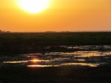 IMG_4567