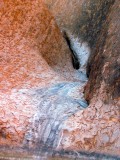 IMG_5231