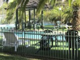 IMG_5595