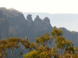 IMG_5981