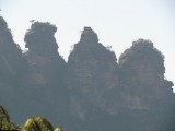 IMG_6011