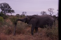 DSC04675