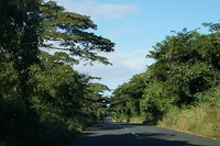DSC05609
