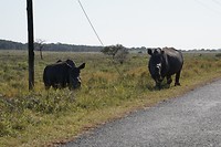 DSC05622