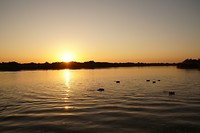DSC06012