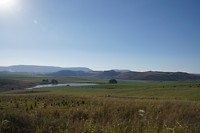 DSC06120