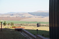 DSC06141