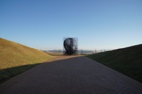 DSC06185