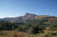 DSC06210