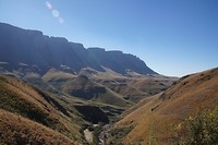 DSC06282