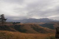 DSC06379