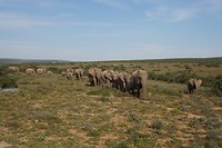 DSC07361
