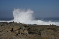 DSC07695