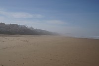 DSC07959