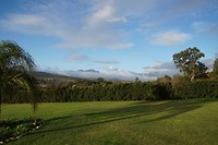 DSC08165