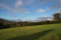 DSC08167