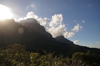 DSC08342
