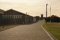 DSC08564