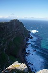 DSC08807